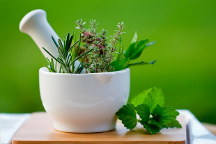 How to fight against the disease in herbs